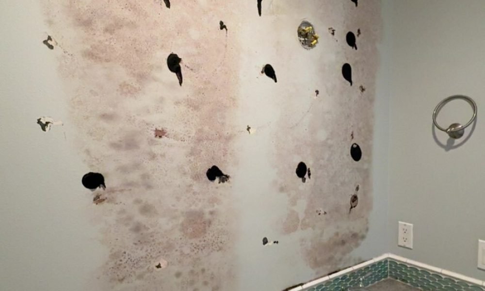 •Drywall Repairs•